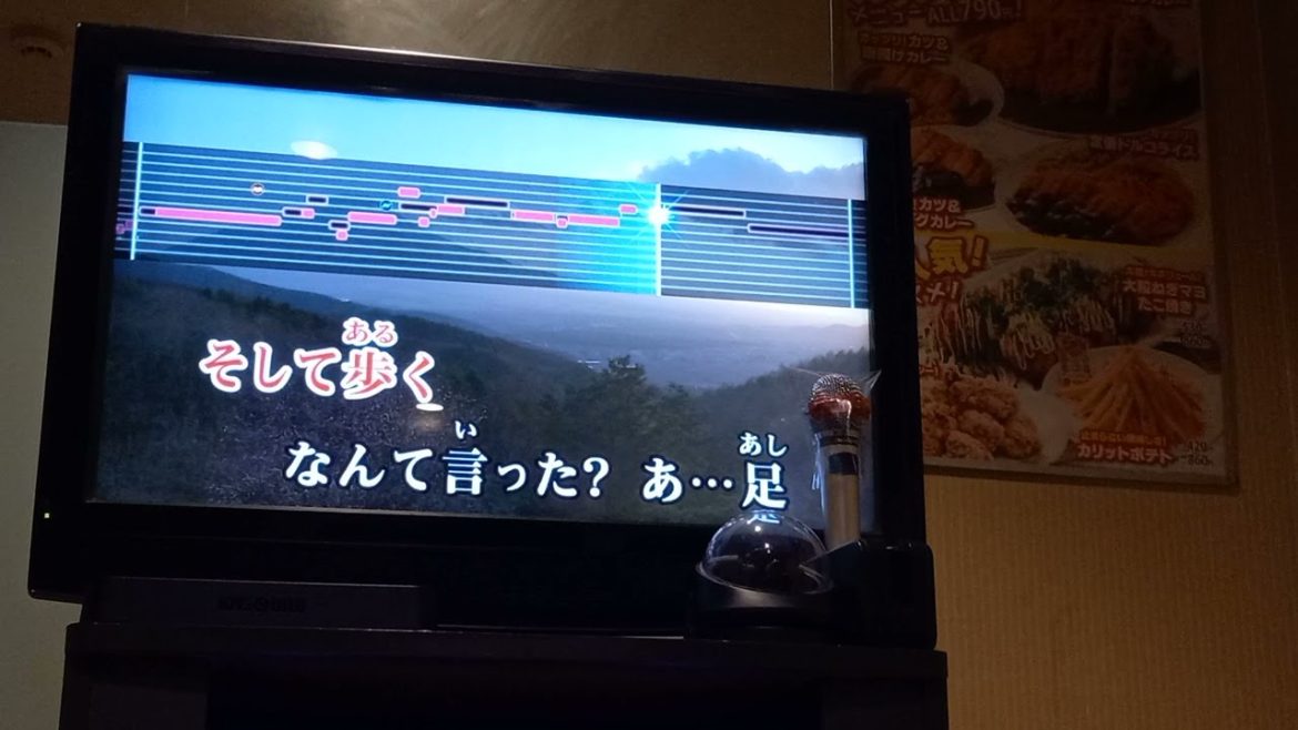 （ノリノリで）歌ってみたパート・オブ・ユア・ワールド  リトル・マーメイド    カラオケ