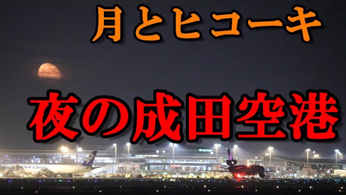 【24年ぶりの天体ショー　“スーパームーン皆既月食”の次の日】20210529 成田国際空港　34L　Takeoff    離陸　＃飛行機　＃ライブカメラ #Archive　　＃成田空港