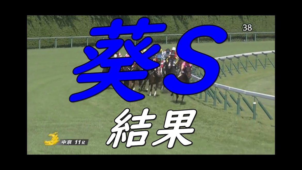 葵S2021 結果