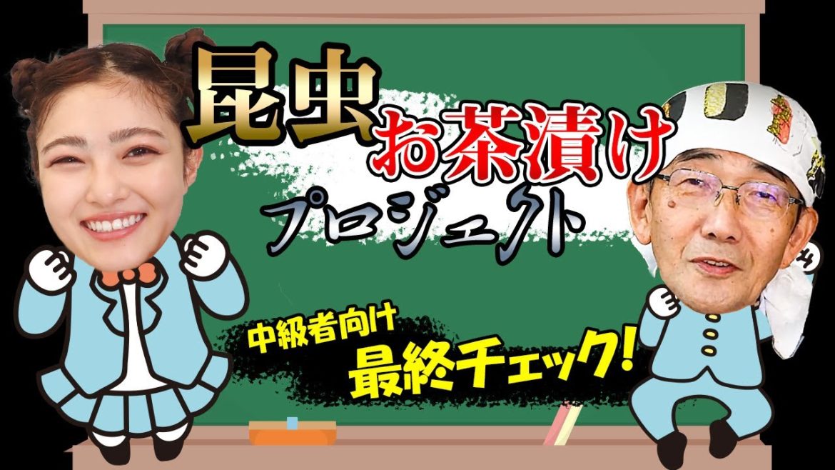 昆虫お茶漬けプロジェクト！中級者向けの最終チェック｜昆虫食｜井上咲楽