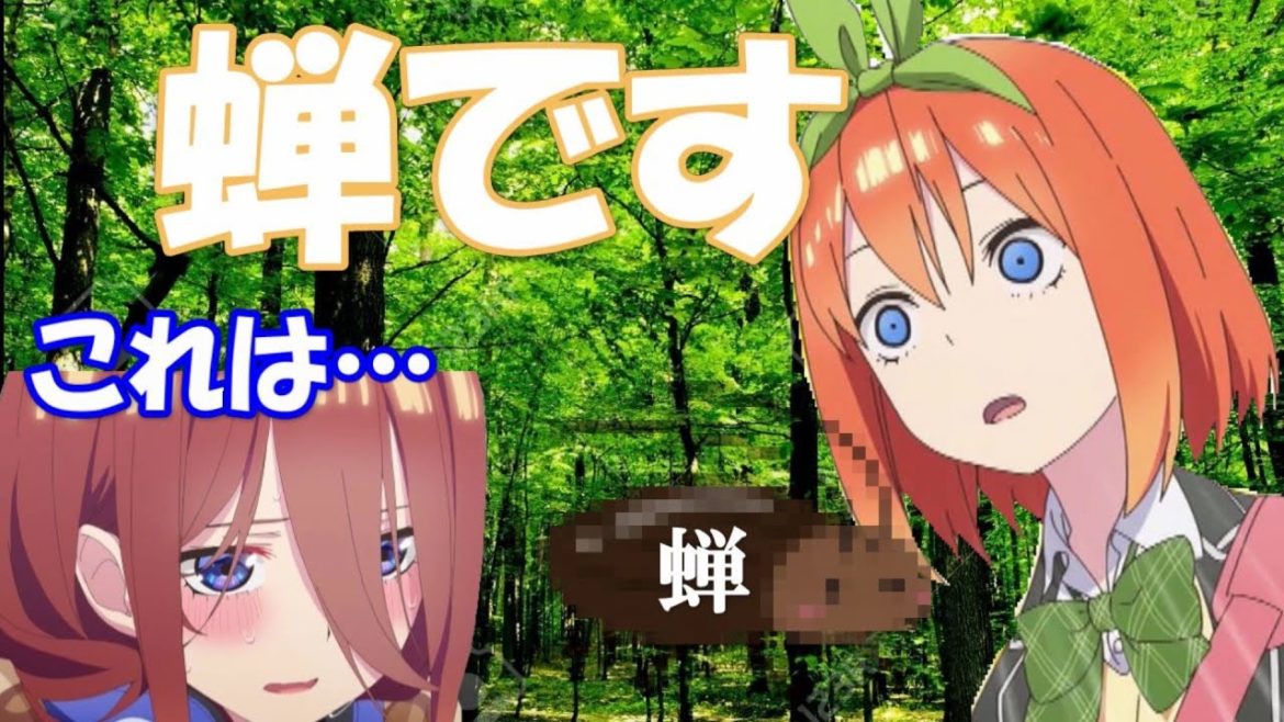 【文字起こし】佐倉綾音が描く蝉が完全にGで面白すぎるｗそれを見て悲鳴を上げる伊藤美来ｗ【五等分の花嫁２期】【五等分の花嫁】