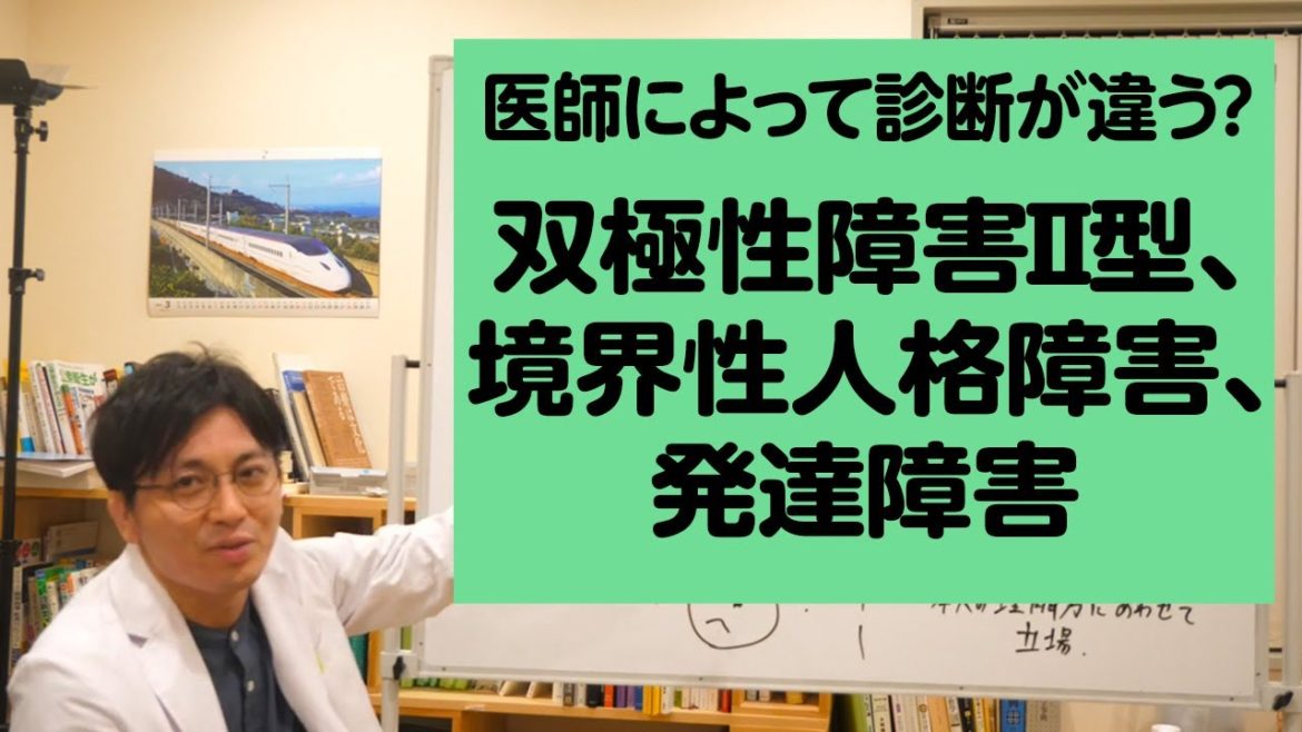 双極性障害Ⅱ型、境界性人格障害、発達障害の臨床的な流れ【精神科医が一般の方向けに病気や治療を解説するCh】