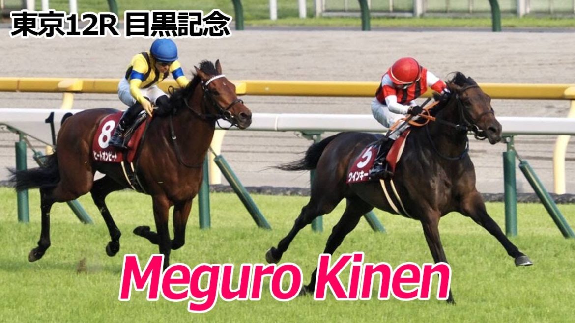 20210530 東京競馬12R 第135回目黒記念(G2) ウインキートス 丹内祐次騎手 3連単 994,120円 일본 도쿄경마장 메구로기념(Meguro Kinen) Win Kiitos