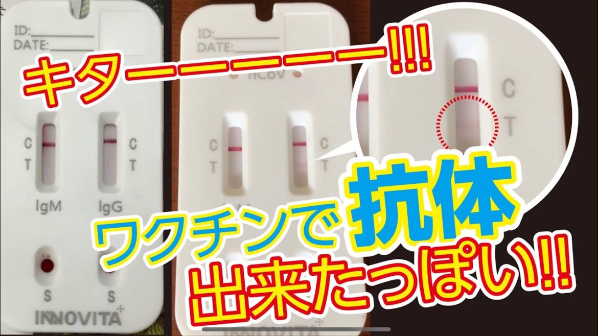 コロナワクチン接種後に抗体検査キット【ファイザー製（中No.1編）】2021.6.7（14:00）