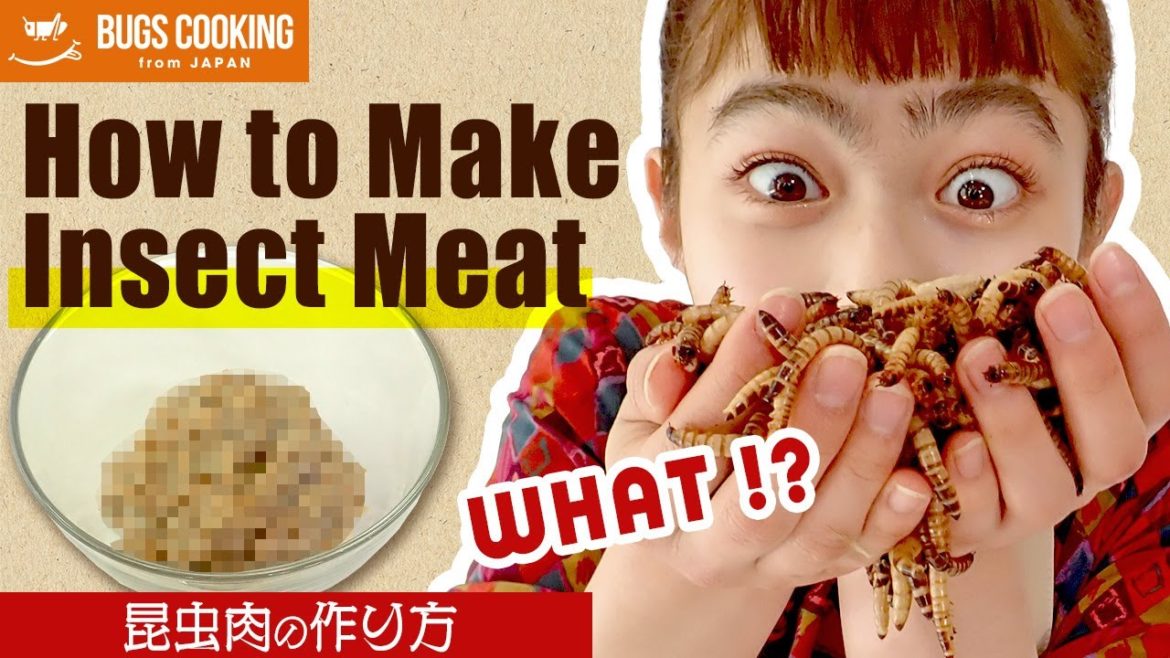 昆虫肉の作り方 昆虫を使って代替ミートを作ってみた | 昆虫食 井上咲楽 昆虫肉の作り方 昆虫を使って代替ミートを作ってみた | 昆虫食 井上咲楽