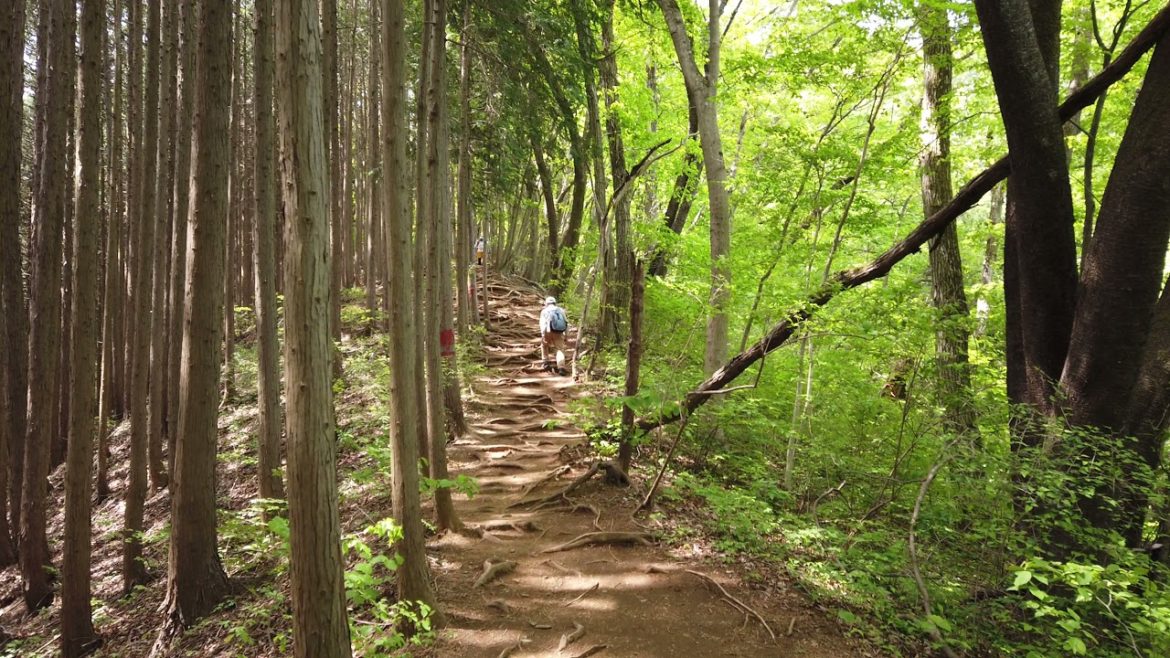 松田龍平さんを意識して登山。大豆田とわ子と三人の元夫について。｜陣馬山｜2021年5月4日