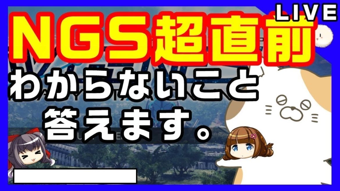 【PSO2NGS 初心者】無能がNGSスタート前の疑問にお答えするようです/超直前回【ニュージェネシス】