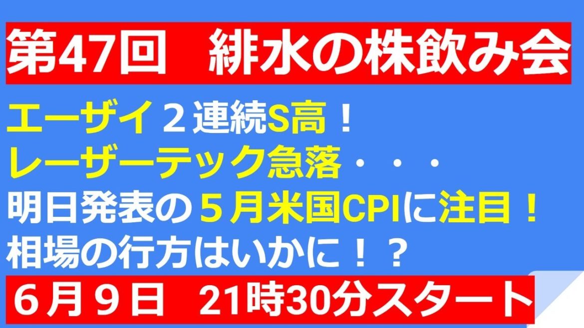 エーザイ2連S高！！レーザーテック大幅安・・・今後どうなる？【第47回　緋水の株飲み会】