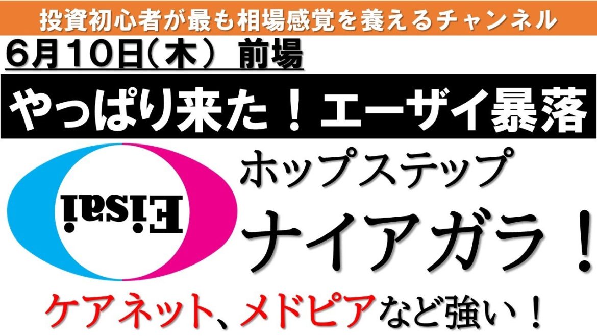 やっぱり！エーザイがナイアガラ！テスタが巻き込まれたらしい！レーザーテックは急激リバウンド｜6/10（木）前場