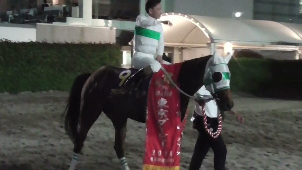 21東京ダービー馬アランバローズ