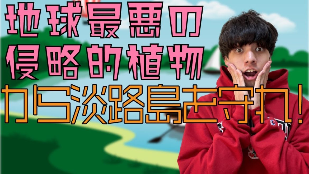 「地球最悪の侵略的植物」が淡路島に出現!駆除の方法とは? 「地球最悪の侵略的植物」が淡路島に出現!駆除の方法とは?