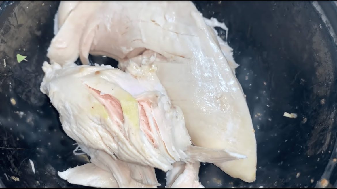 緑色の胸肉を食べてギランバレー症候群になった疑惑の動画 緑色の胸肉を食べてギランバレー症候群になった疑惑の動画