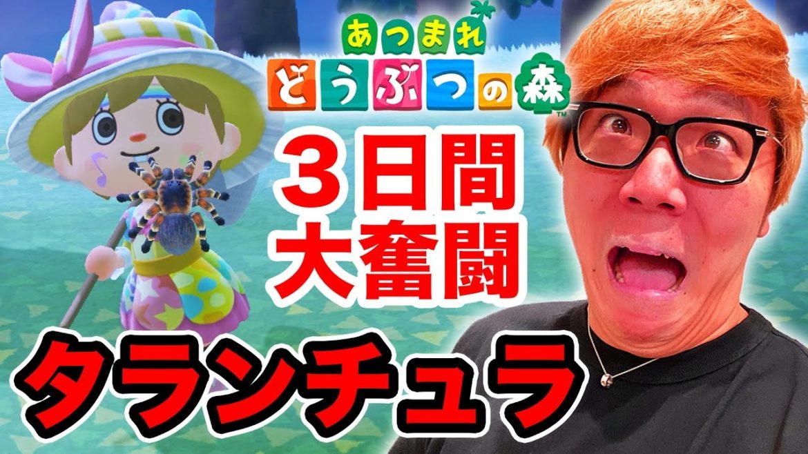 【あつ森】タランチュラ捕獲に３日間かかる男ヒカキンw &マイホームついに完成！