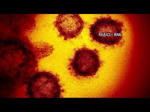 新型コロナ 秋田市で9日ぶりに感染確認 (21/06/12 18:00) 新型コロナ 秋田市で9日ぶりに感染確認 (21/06/12 18:00)