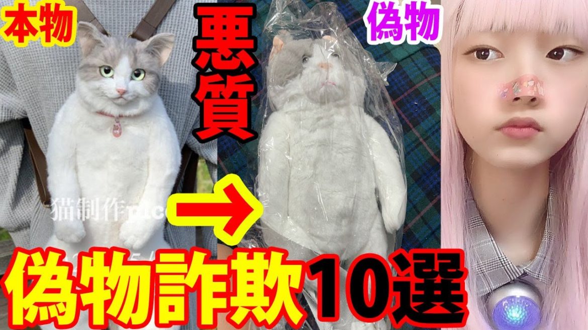 猫制作pico猫型リュック詐欺通販。写真と違うネット通販詐欺１０選【Amazonメルカリ・ヤフオク】Twitterで話題