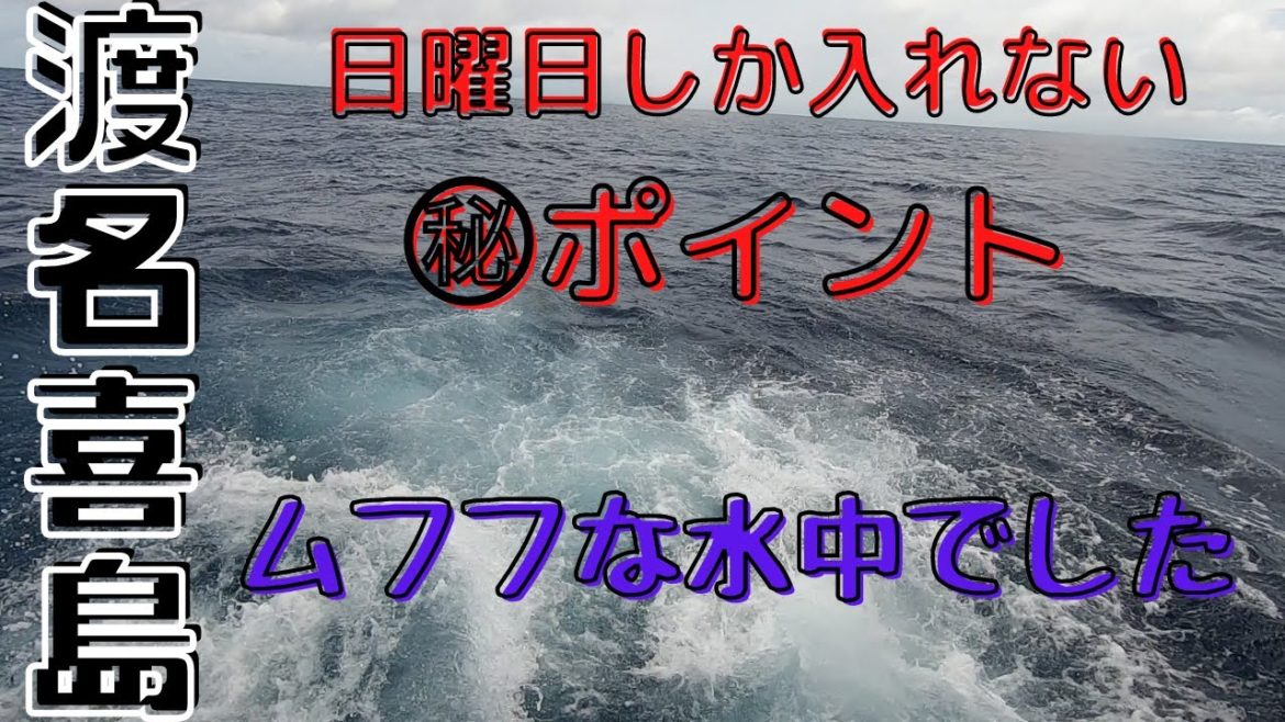 日曜日しか入れない大物狙いのギャンブルダイブ！　場所は長澤まさみ主演映画【群青】の舞台になった渡名喜島