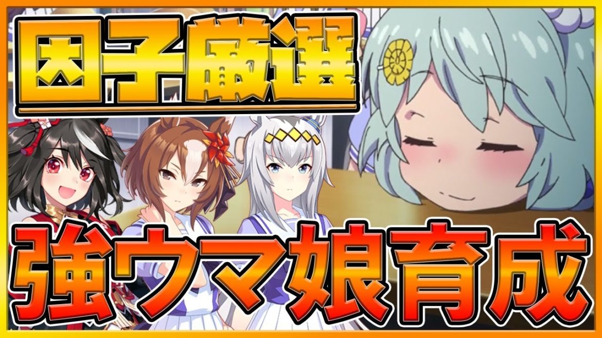 【ウマ娘配信】ジェミニ杯対策長距離育成‼セイウンスカイで勝ちに行く賢さ盛り!!スタミナを考えつつ勝てるウマ娘を仕上げます‼/因子厳選中/初心者さん歓迎/情報交換所/ウマ娘攻略【プリティーダービー】