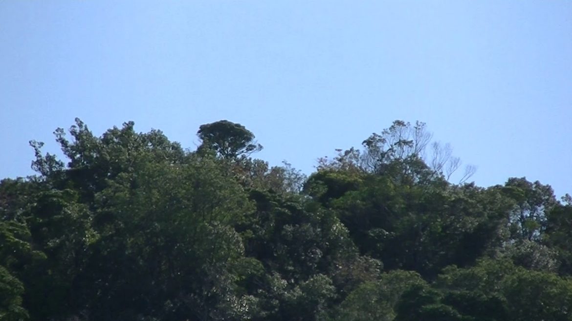 新型コロナウイルス感染症拡大防止のお知らせ／御坊市