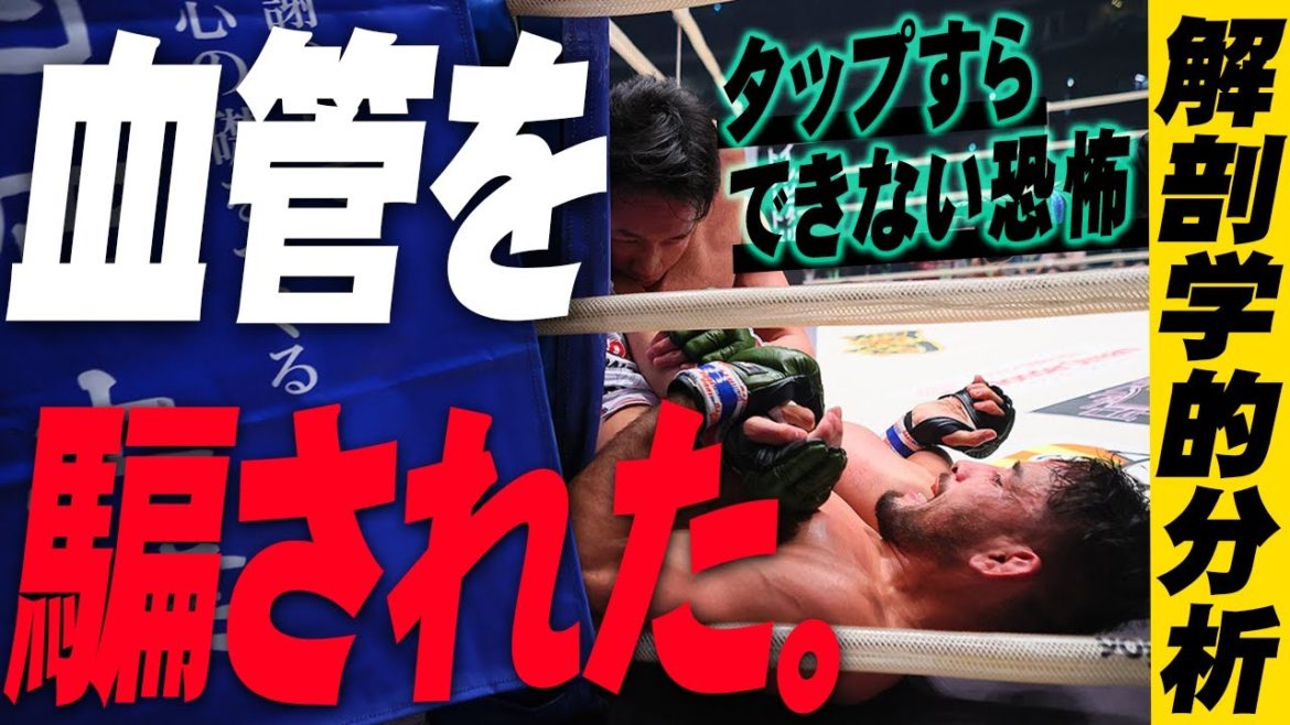 朝倉未来が一瞬で失神した解剖学的理由【RIZIN、vsクレベル・コイケ】