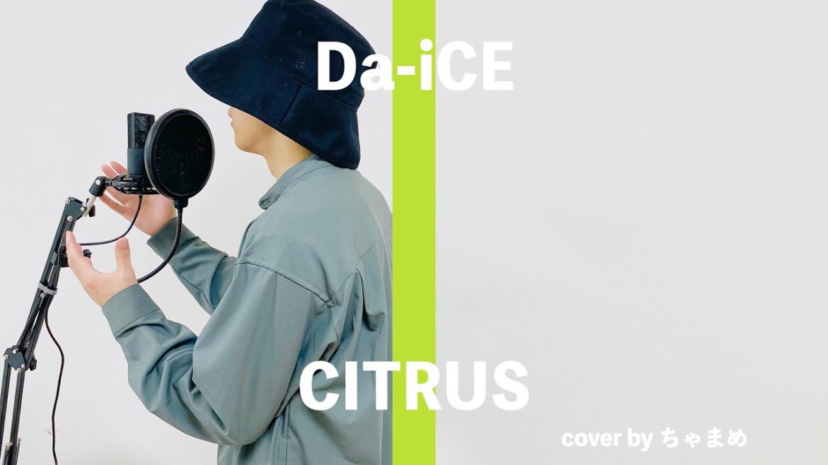 【CITRUS / Da-iCE】大野雄大・花村想太 THE FIRST TAKE 風（ドラマ『極主夫道』主題歌）歌ってみた cover by ちゃまめ