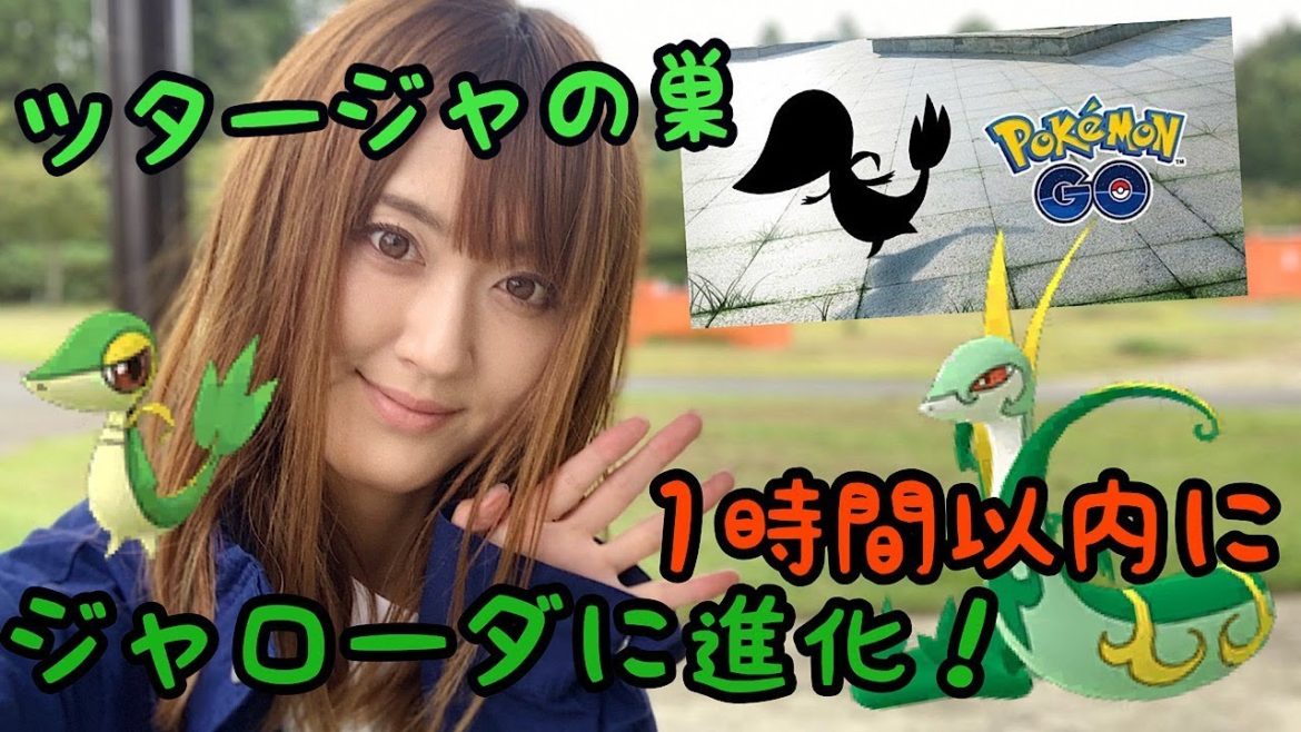 【ポケモンGO】ツタージャの巣!!1時間以内にジャローダに!!