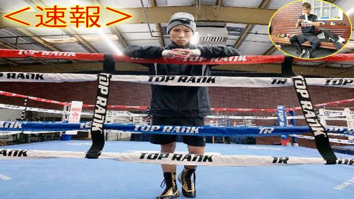 井上尚弥２０日決戦へジム練習打ち上げ　日増しに注目度アップ