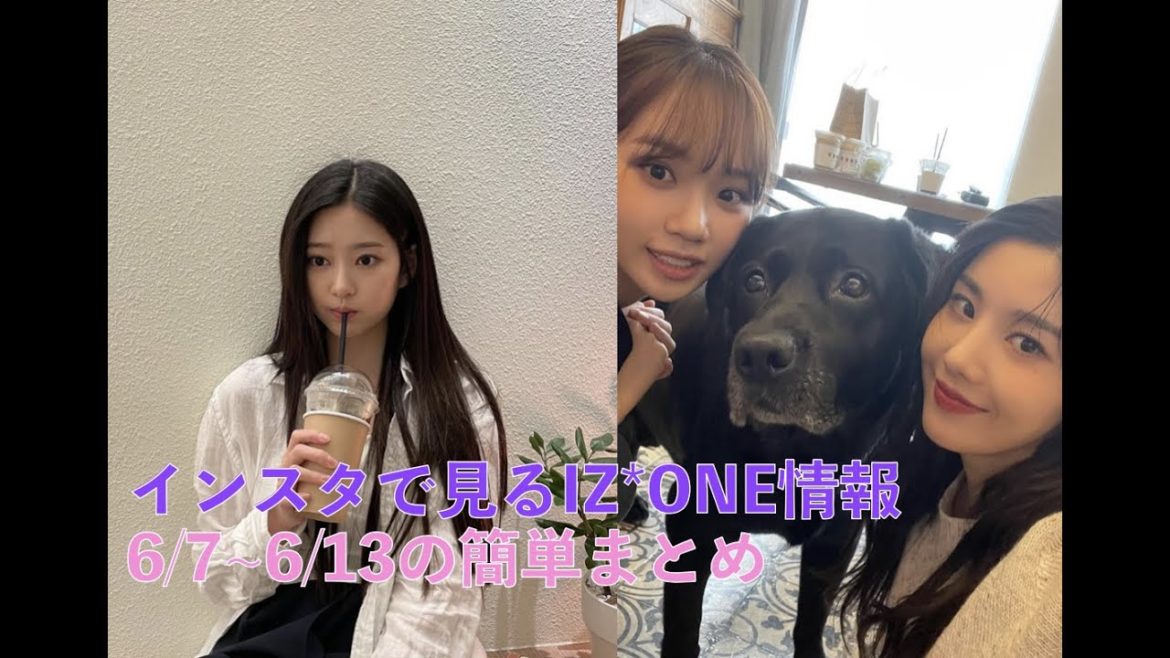 [IZ*ONE、日本語字幕] インスタで見るIZONE情報(6月7日~13日)簡単まとめ