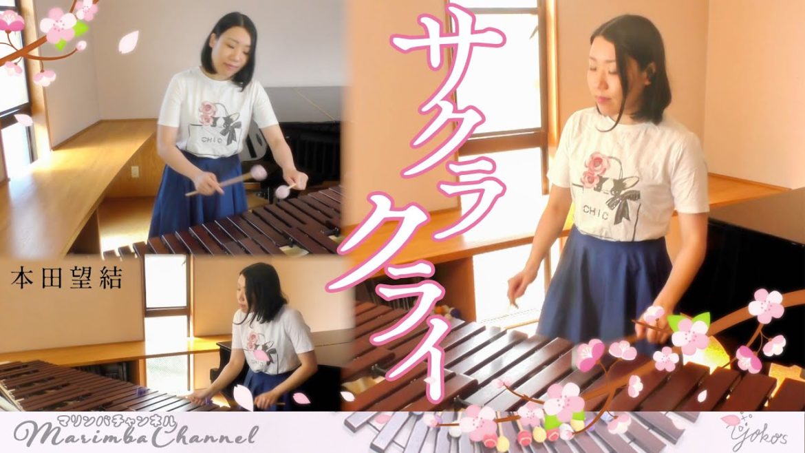 サクラクライ / 本田望結 marimba cover