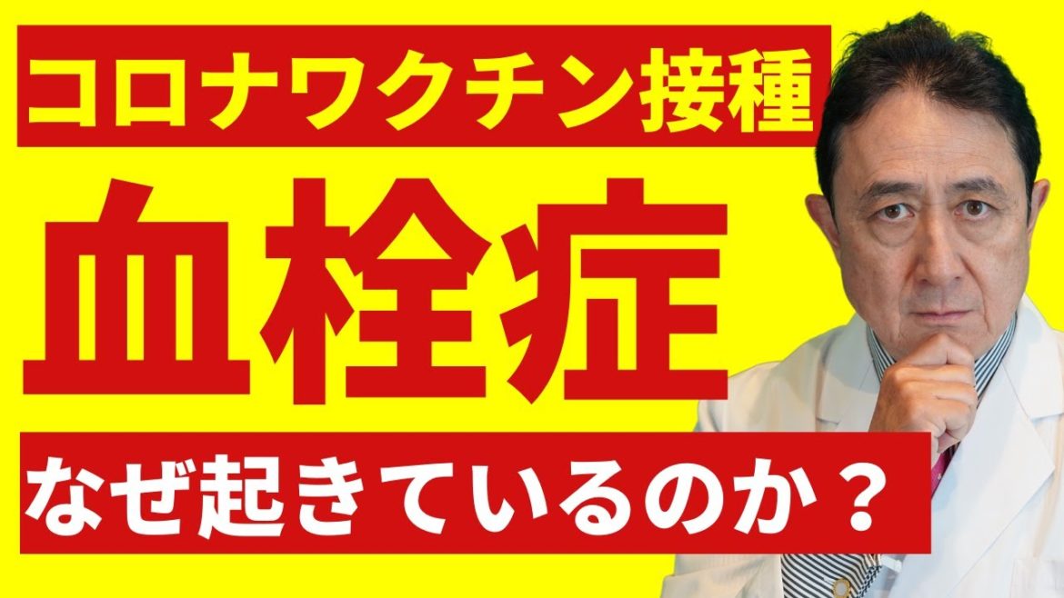 コロナワクチン接種後の血栓症はなぜ起きているのか？／犬房春彦（ルイ・パストゥール医学研究センター医学研究センター／医師・医学博士）