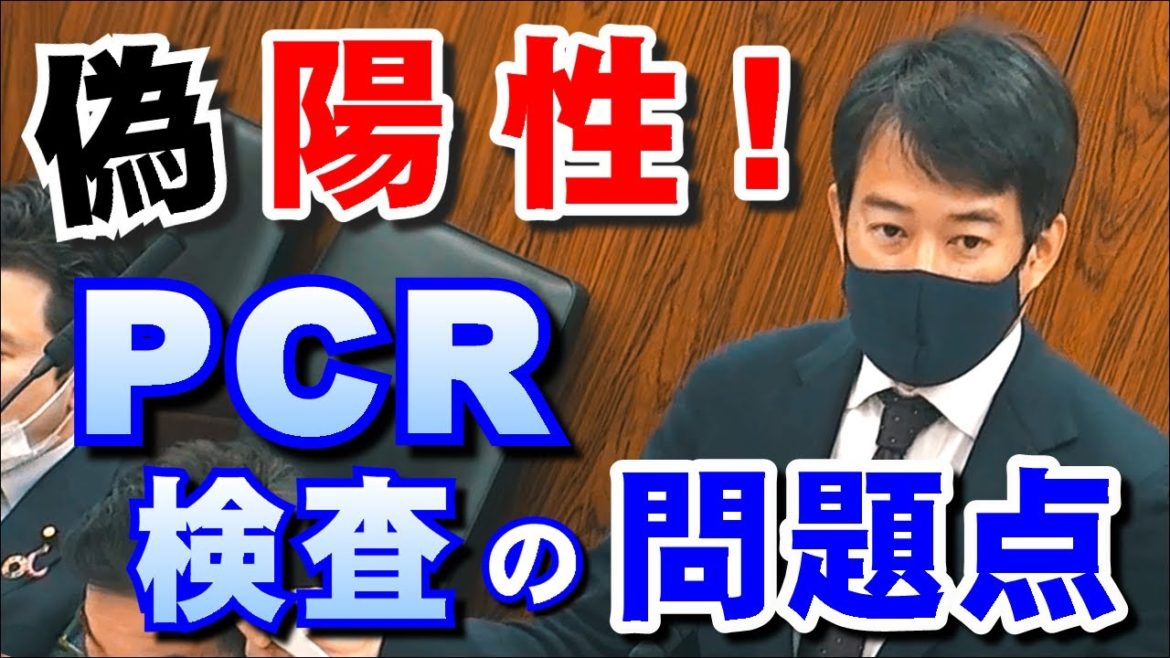 偽陽性！PCR検査の問題点⚡3/23のやなチャン国会質疑！#参議院 #国会中継