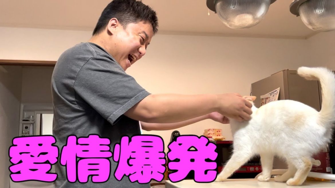 ゆきとらを愛してやまないゆめまるの末路