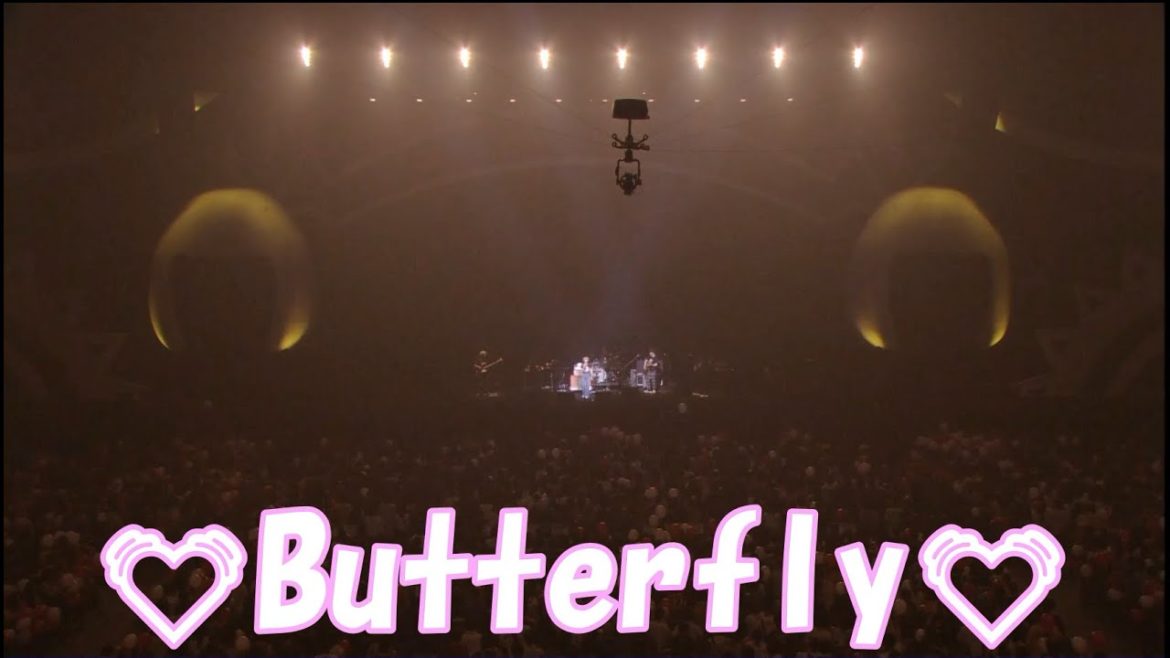 『Butterfly』楽しい曲紹介【木村カエラ×渡邊忍】