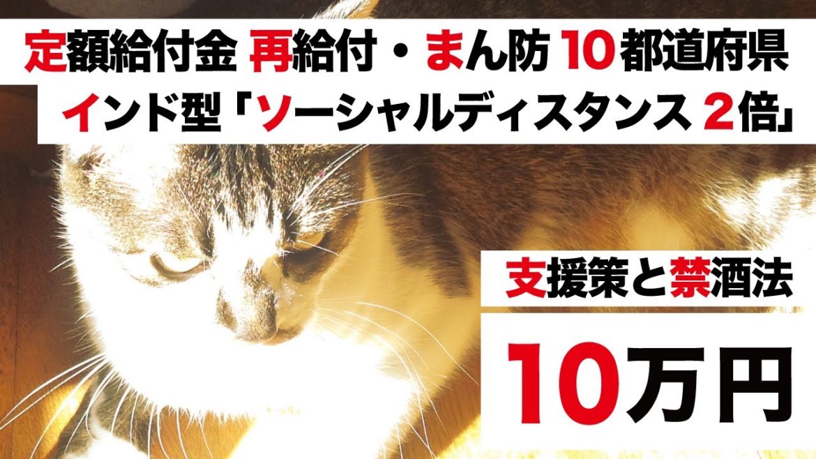 【定額給付金 再給付・3回目 緊急事態宣言 解除】まん防 10都道府県「支援策延長・バラバラ禁酒法」VS 第5波 インド型 変異ウイルス「デルタ株・ソーシャルディスタンス 2倍」