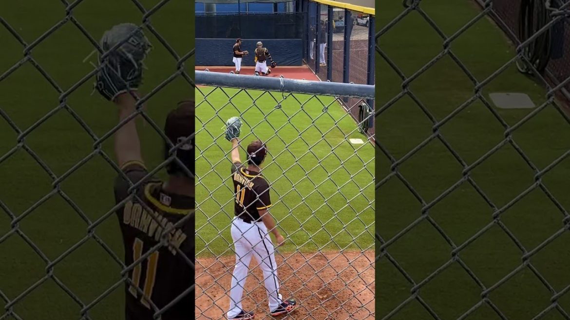 【ダルビッシュ有】サンディエゴパドレスで初登板日プルペンでの投球　その2