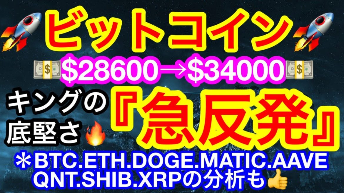 🚀ビットコインが反発ビヨ〜ン‼️からの逆三尊🤣底は3万ドルではない❗️❓強気相場再開は秋❗️❓🚀 【仮想通貨 BTC.ETH.DOGE.MATIC.AAVE.QNT.SHIB.XRP】