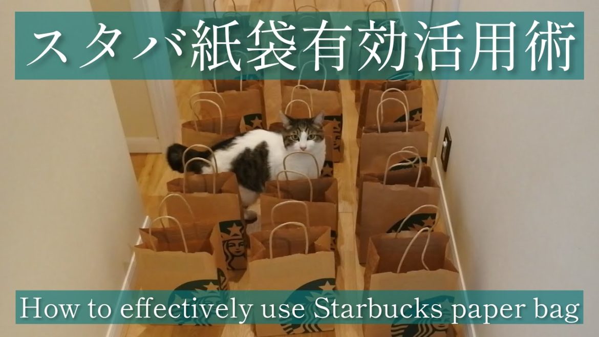 スタバ紙袋有効活用術　47都道府県“地域限定フラペ”「47JIMOTO フラペチーノ」発売記念　How to effectively use Starbucks paper bag