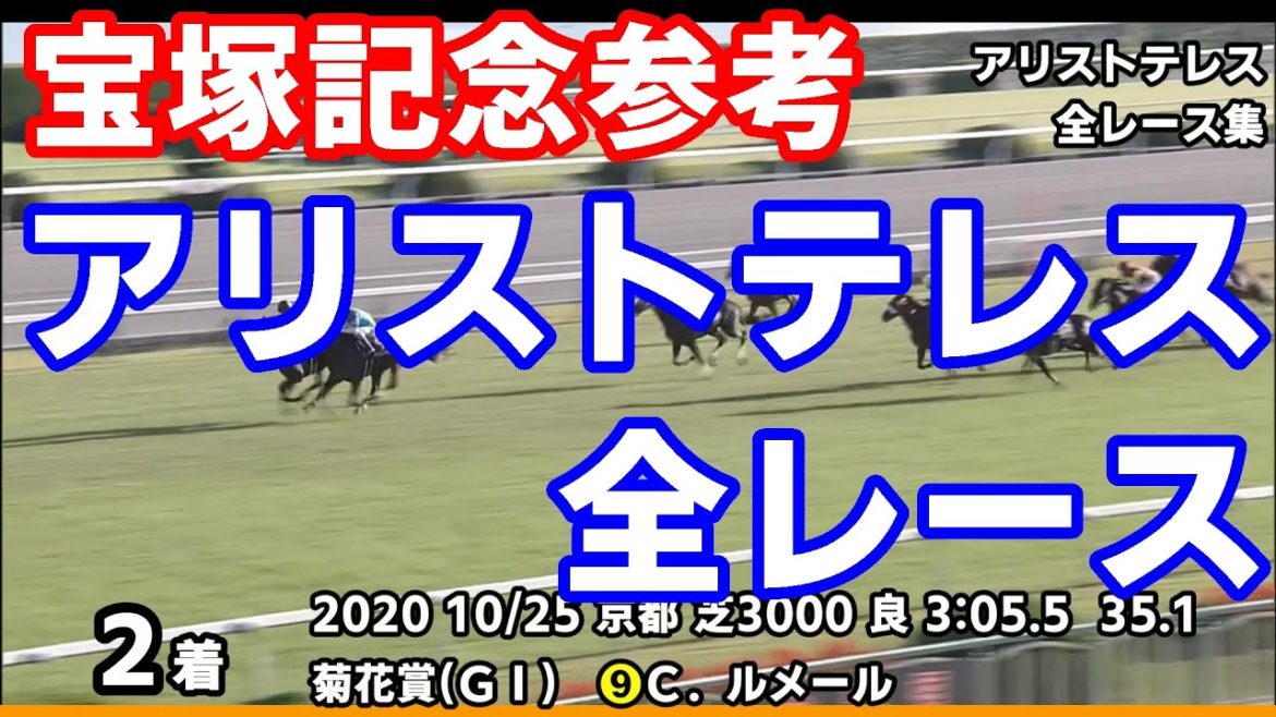 【宝塚記念2021予想参考】アリストテレス全レース集~天皇賞春2021【パドック競馬】