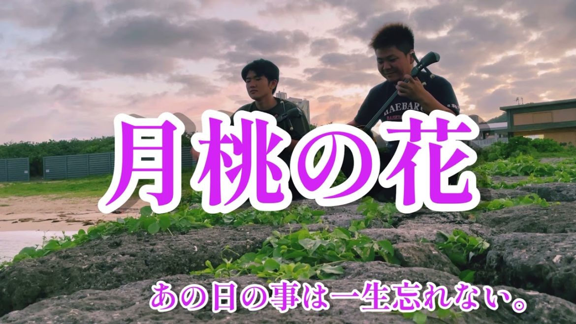 月桃の花「慰霊の日」