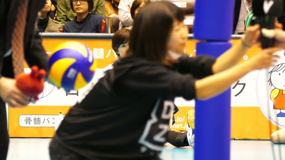 日立 佐藤あり紗 栗原恵 vs 上尾 試合後ストレッチ 2017 11 04