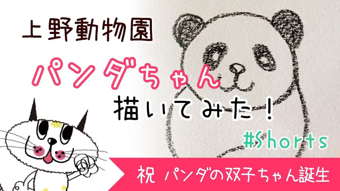 #Shorts 祝！上野動物園、パンダの双子の赤ちゃん誕生！（リーリー、シンシン,シャンシャン）20210623