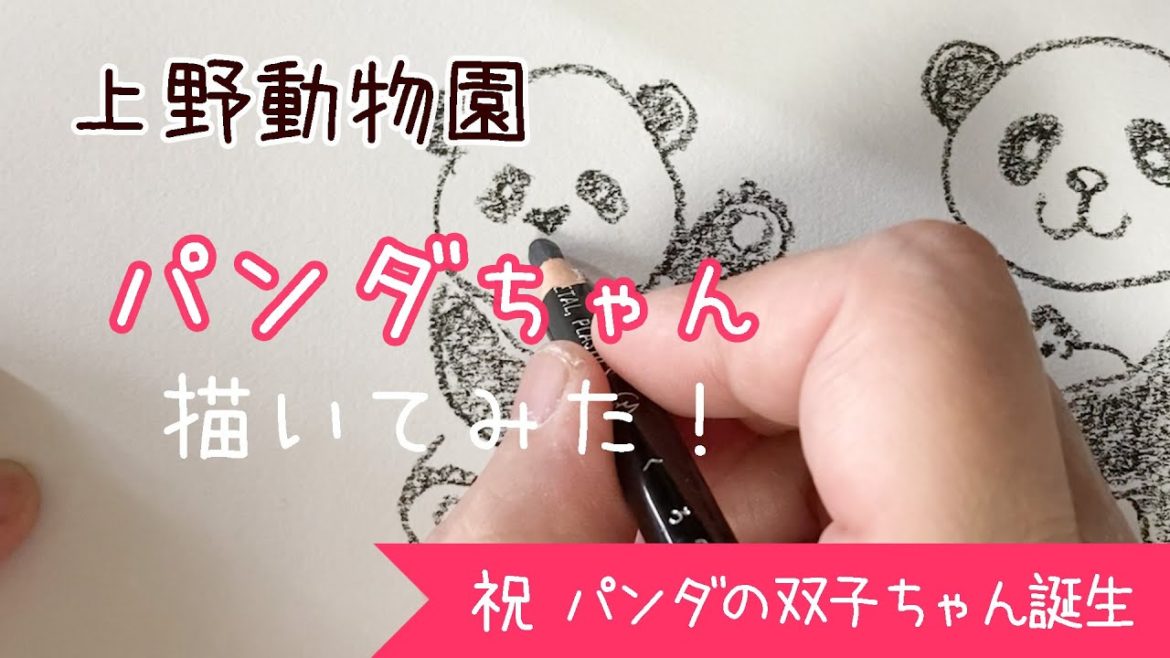 祝！上野動物園、パンダの双子の赤ちゃん誕生！（リーリー、シンシン,シャンシャン）20210623