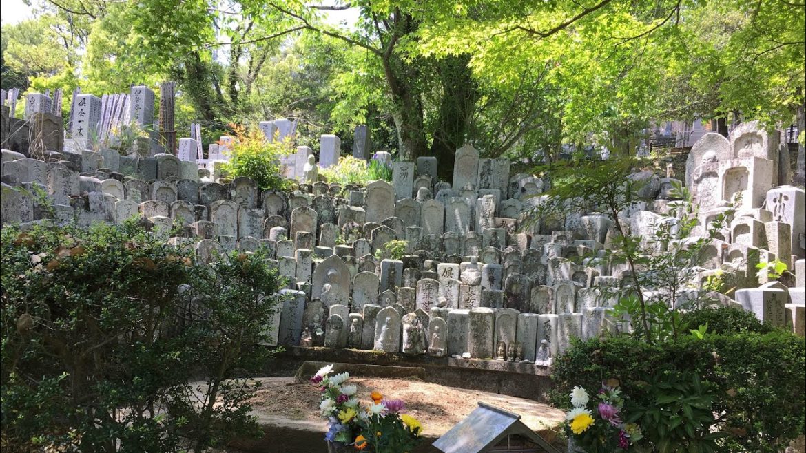 沖縄慰霊の日（RADIO形式）