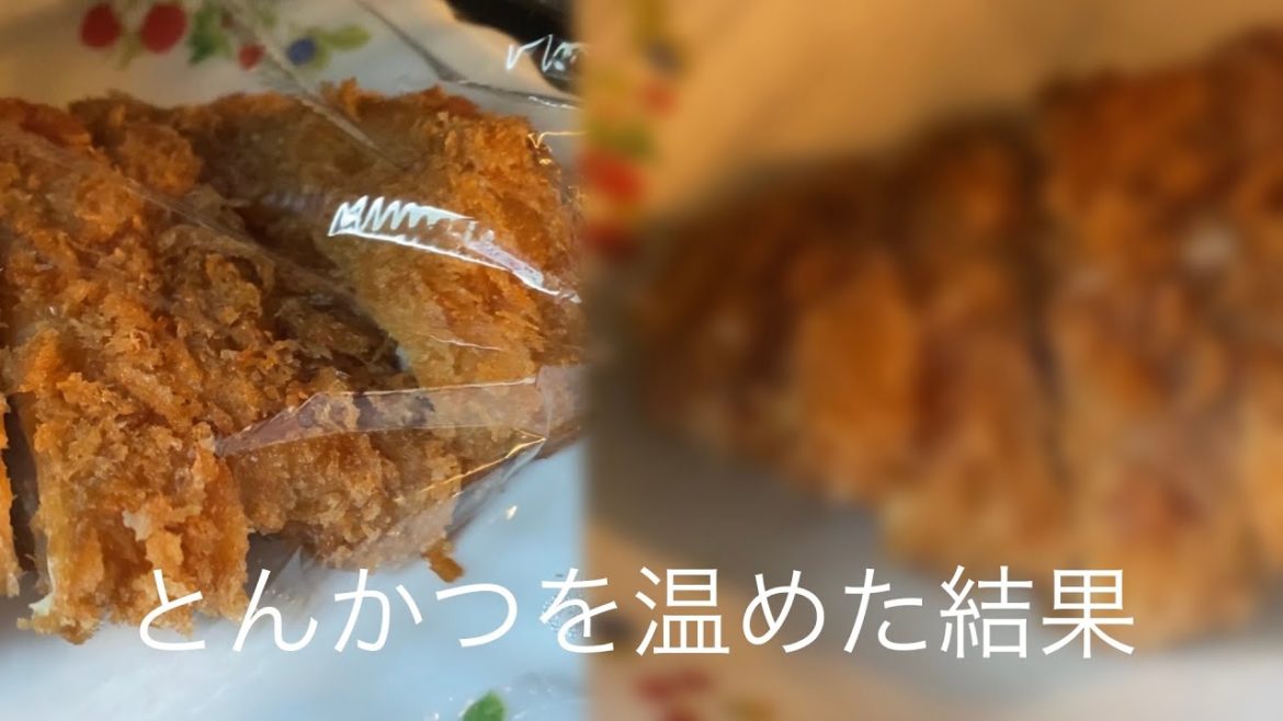 ファスト映画の代わりに見る動画（とんかつを温めたらどうなるか検証）