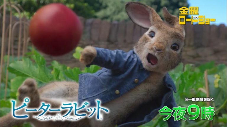 糸博 News Wacoca Japan People Life Style 糸博 News Wacoca Japan People Life Style