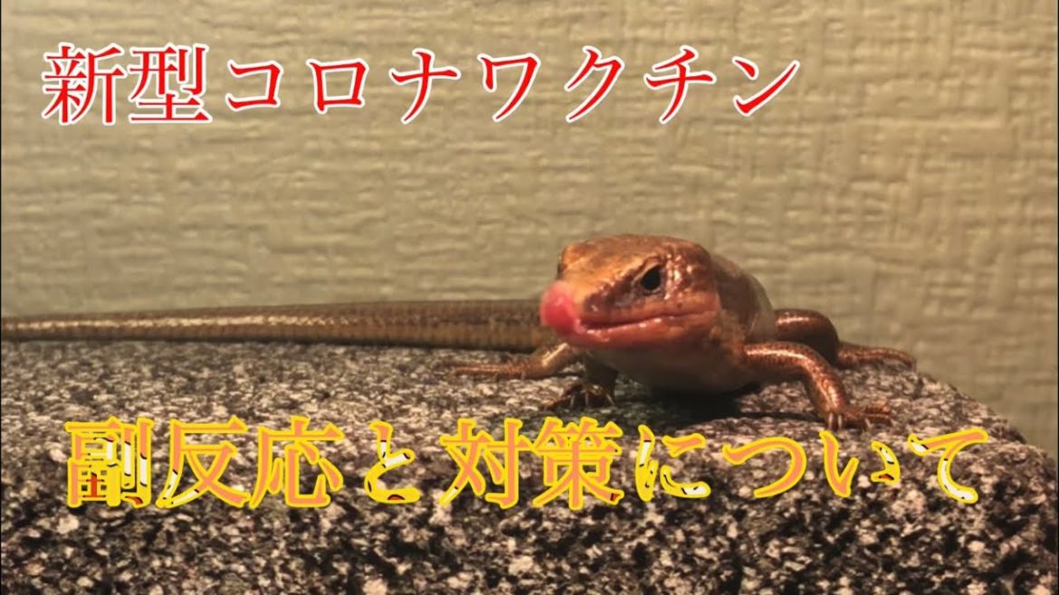 新型コロナワクチンの副反応とその対策について話してみた