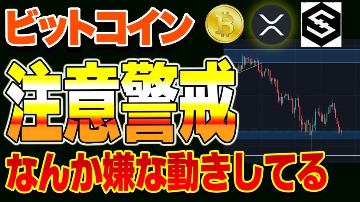 【仮想通貨】エルサルバドルが全国民にBTCをばら撒きます!!! 【仮想通貨】エルサルバドルが全国民にBTCをばら撒きます!!!