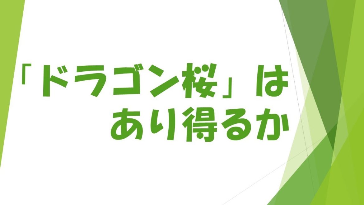 「ドラゴン桜」現実的か！？