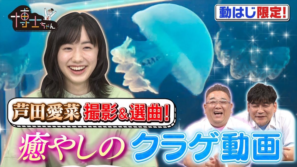 【TV未公開】芦田愛菜 撮影＆選曲！ 癒やしのクラゲ動画～完全版～