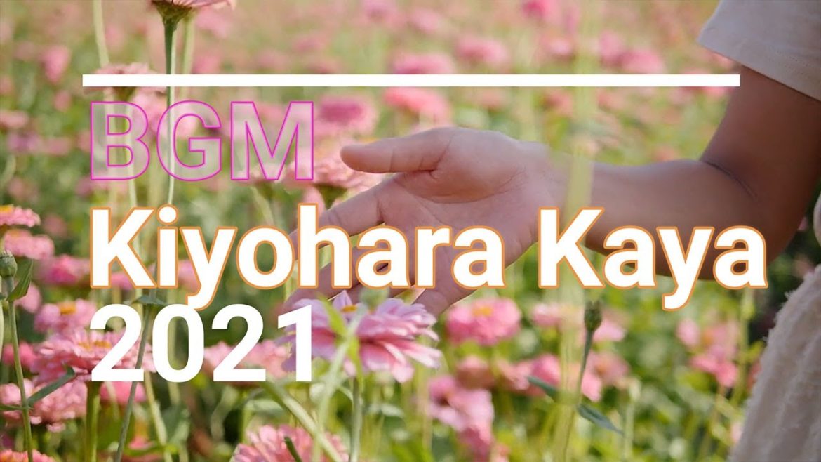 【作業用BGM】清原果耶（Kiyohara Kaya）のイメージジャズ　アルトサックス　2021年6月夏