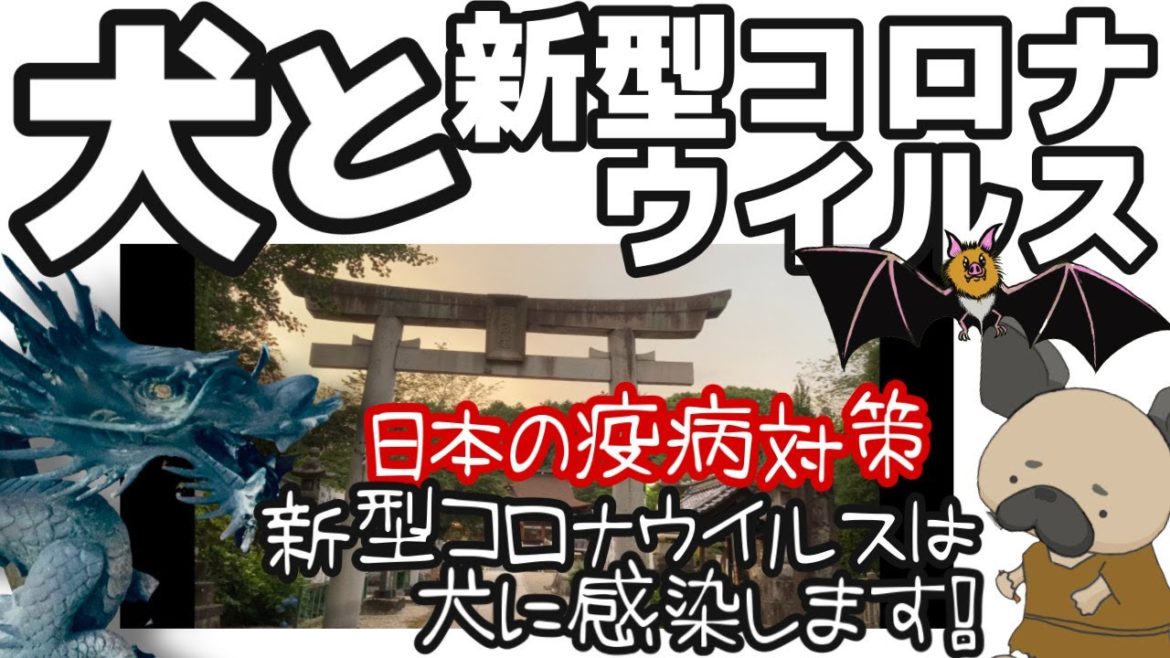 新型コロナウイルスは犬にうつります！〜犬と新型コロナウイルス〜日本の疫病対策